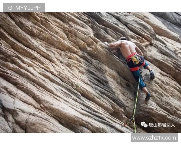 南京攀岩队的防反体系与攀岩战术的深度解析与实践探索