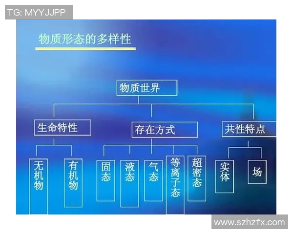 南京排球队意识对比深度剖析与战术思维的影响探讨
