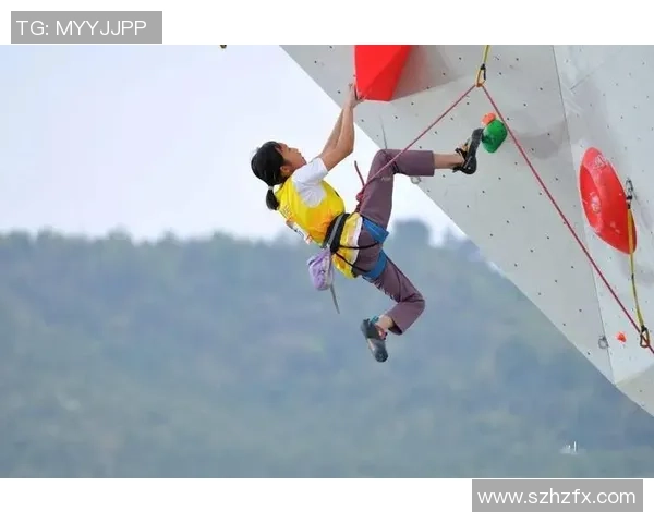 南京攀岩队成员个人能力深度对比与分析探索