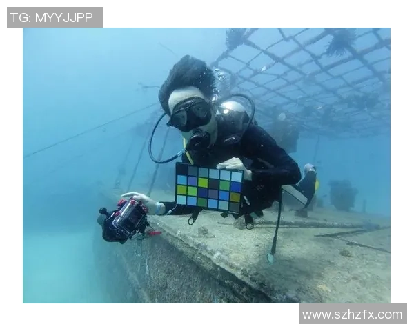 南京极限运动队状态对比深度解析与未来发展趋势探讨