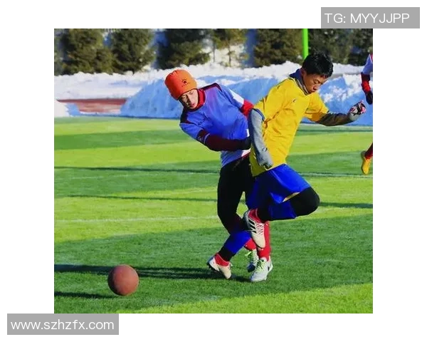 吴强的排球人生深度对话探索运动背后的坚持与梦想