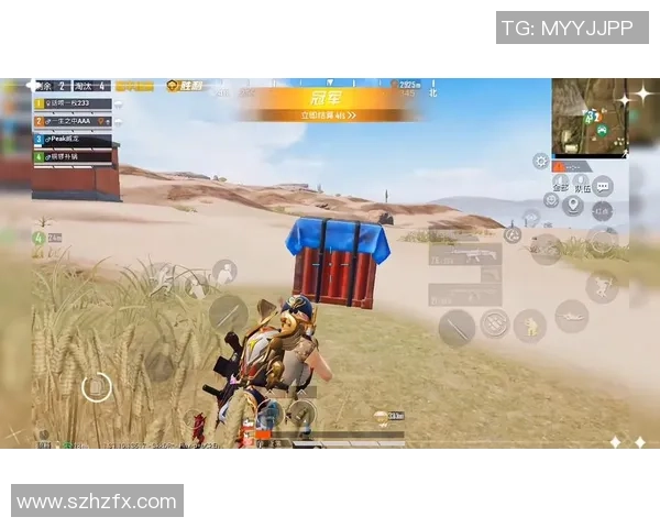 和平精英巨献：深入解析LNG在游戏中的强大影响力与应用潜力